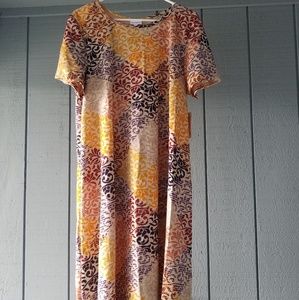 Beautiful LuLaRoe Carly Dress
